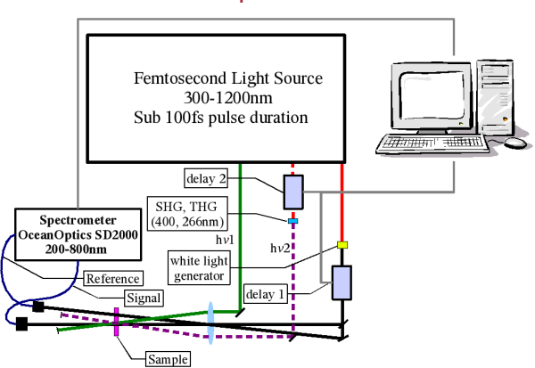 pump-probe optical layout